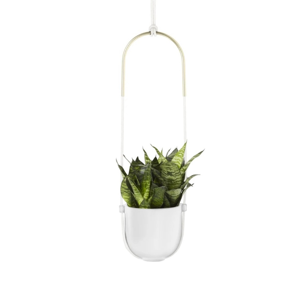 Umbra Bolo White and Gold Hanging Planter